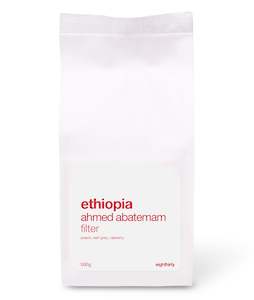 ethiopia ahmed filter