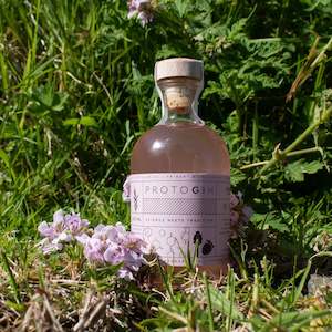 Trident Distilleries Rhubarb and Strawberry ProtoGin 250ml