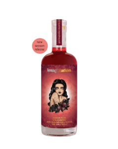 Imagination Damson Plum & Blackberry Gin Liqueur 700ml