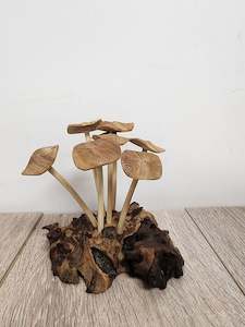 Pwood Mushroom 7