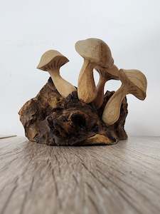 Ornamental: Pwood Mushroom 5