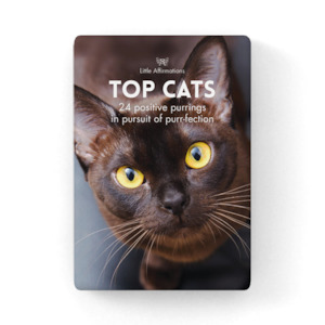 Affirmation Gifts: Quote Box - Top Cats