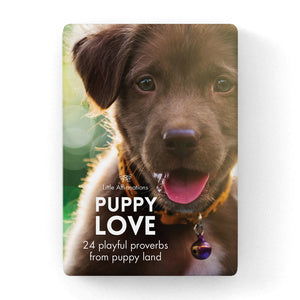 Quote Box - Puppy Love