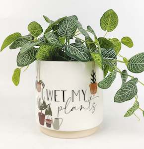 I Wet My Plants Planter