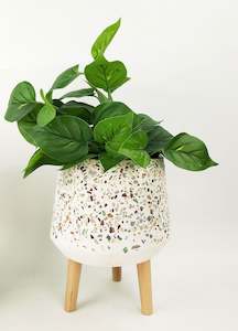 Garden: Terazzo Planter With Legs