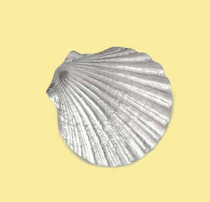 LARGE Shell shield