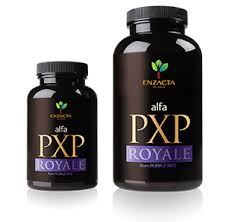 PXP 1 x 30 SERVE BOTTLE - TRIAL PRICE