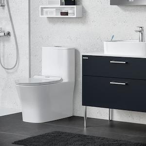 American Standard Signature Hygiene Rim Toilet Suite