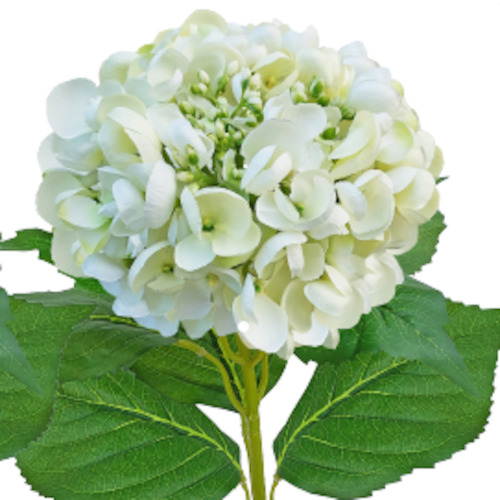 Soft furnishing: Budding Hydrangea Large Cream Green