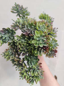 Soft furnishing: Hanging Succulent