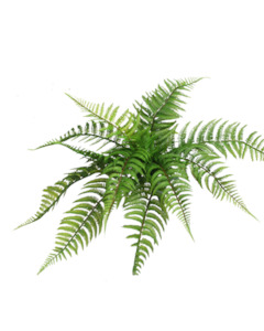 Soft furnishing: Large Native Fern with fronds