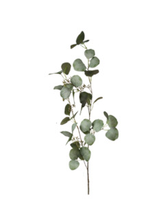 Soft furnishing: Tall Eucalyptus Brand with Seeds