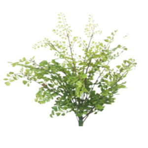 Soft furnishing: Tall Maidenhair Bush