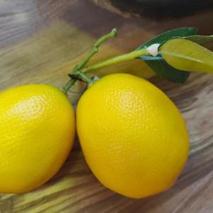 Meyer Lemon Large