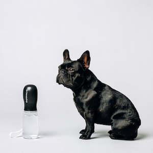 Soft furnishing: Thirsty Dog Bottle Black