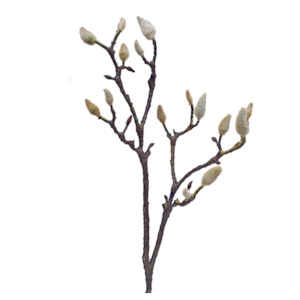 Soft furnishing: Early Magnolia Twig Medium