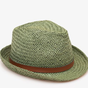 Soft furnishing: Green Panama Hat