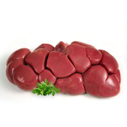 Beef Kidney