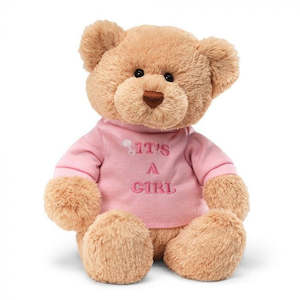 Clothing: It's A Girl Teddy Bear