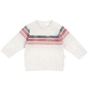 Clothing: Miles Baby Sweatshirt - Super Stripes