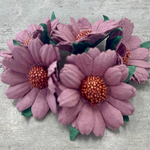 Chrysanthemums - Dark Mauve (5pk)