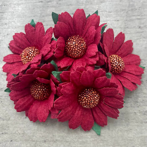 Chrysanthemums - Red (5pk)