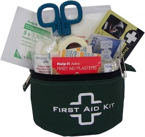 Basic Forestry Small First Aid Kit