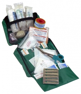 The Essential Family First Aid Kit