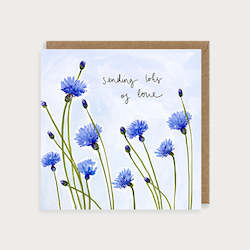 LMDPOS07 Sending love cornflower (6 pack)