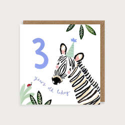 LMDCC04 Age 3 Zebra (6 pack) PREORDER