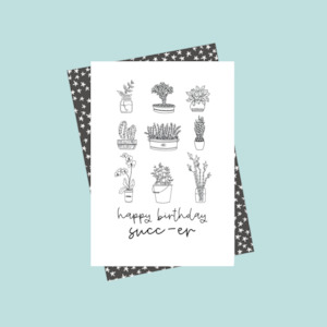 Stationery wholesaling: DSM016 Happy Birthday Succ-er (6 pack)