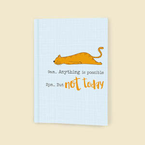 Stationery wholesaling: DSNBA6241 Not Today Notebook (3 pack)