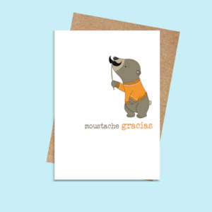 Stationery wholesaling: SCDSWW645 Moustache Gracias (6 pack)