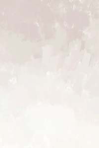 Sample - Canopy Wallpaper Champagne