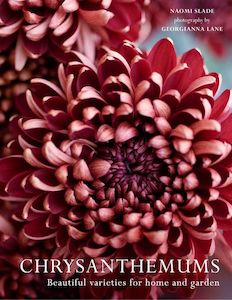 Chrysanthemums - Naomi Slade