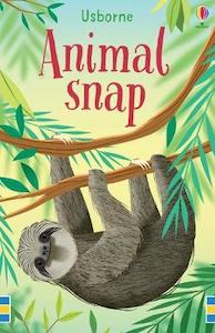 Books: Snap Cards - Animal