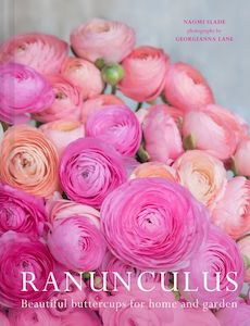 Ranunculus - Naomi Slade