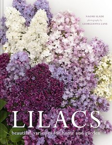 Lilacs - Naomi Slade