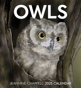 Books: 2025 Wall Calendar - Owls