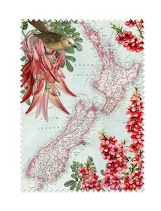 Books: Map of New Zealand - Lens Cloth