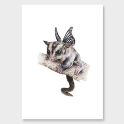 Sugar glider art print by olivia bezett