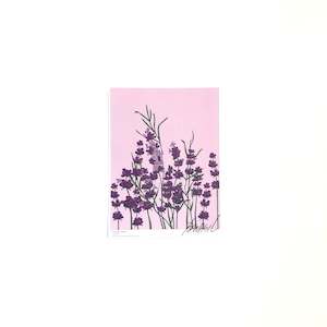 A5 Flower Poster - Lavender