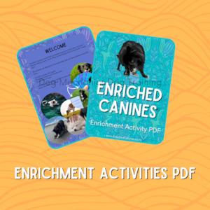 Pet: Enrichment Activities - digital download. PDF