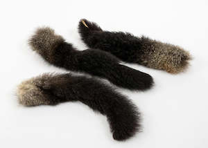 Pet: Possum Tail