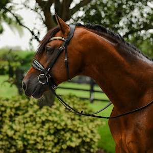 Agricultural: Delta bridle (cavesson)