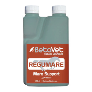 REGUMARE Mare Support