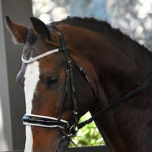 Agricultural: Lumiere Adeline Bridle with leather Nappa reins (cavesson)