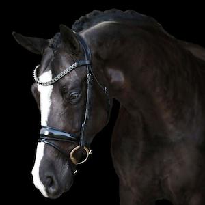 The Lumiere Audrey Bridle