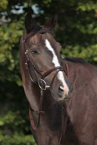 Stubben 2300C leitrim  snaffle bridle