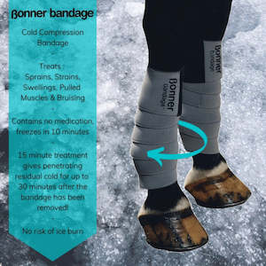 Equine Bonner Ice Bandage